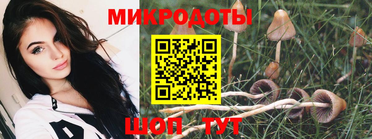 Псилоцибиновые грибы GOLDEN TEACHER  Вход с VPN  Лабытнанги  Галлюциногенные грибы Psilocybine cubensis 
